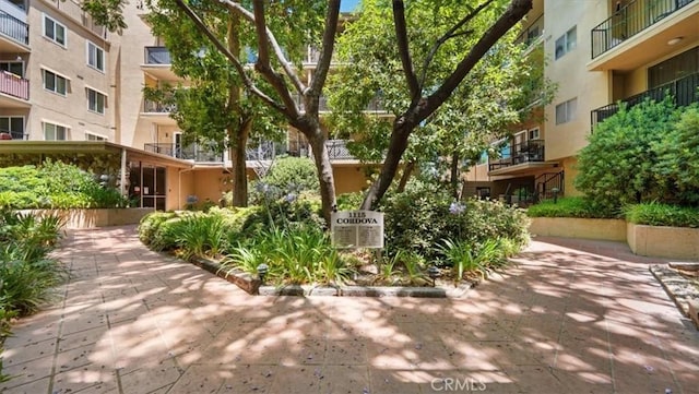 1115 Cordova St Unit 207, Pasadena, CA 91106 - view of property's community