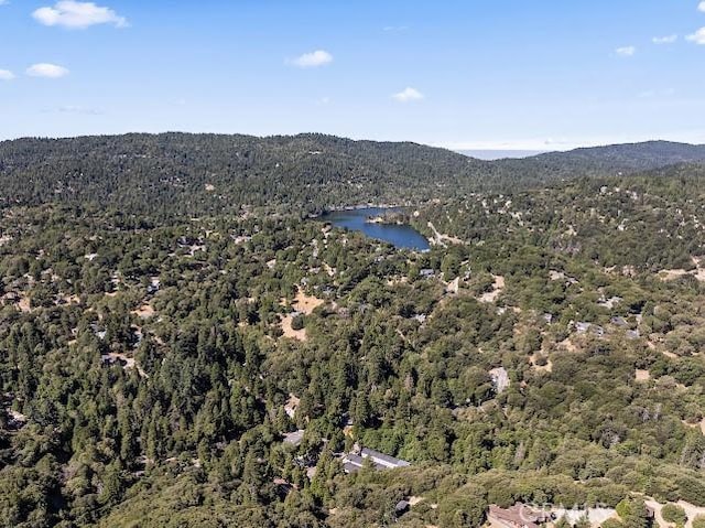 24834 Edelweiss Dr, Crestline, CA 92325 - photo 51