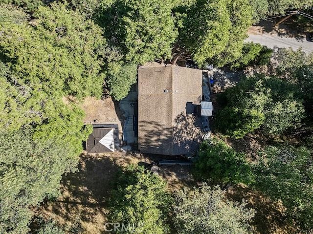 24834 Edelweiss Dr, Crestline, CA 92325 - photo 46