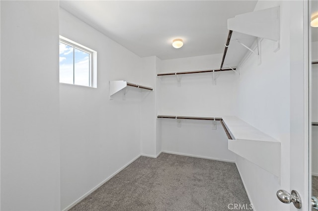 1415 Opal Ct, Beaumont, CA 92223 - spacious closet with carpet flooring