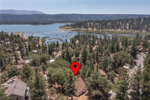 1118 Bruin Trl, Fawnskin, CA 92333 - photo 42
