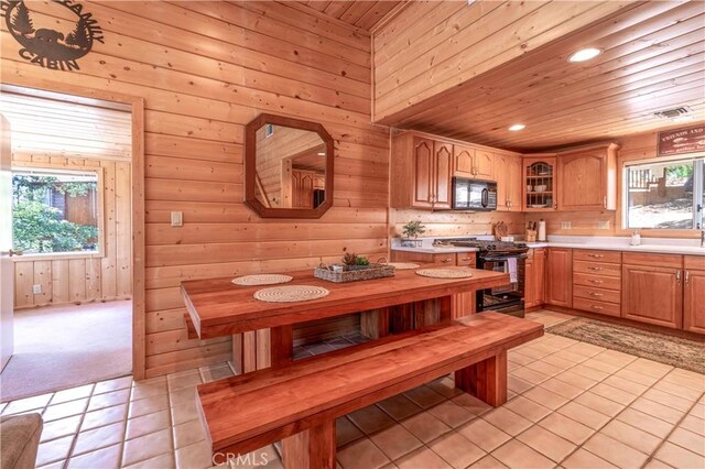 1118 Bruin Trl, Fawnskin, CA 92333 - photo 12