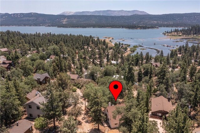 1118 Bruin Trl, Fawnskin, CA 92333 - photo 43