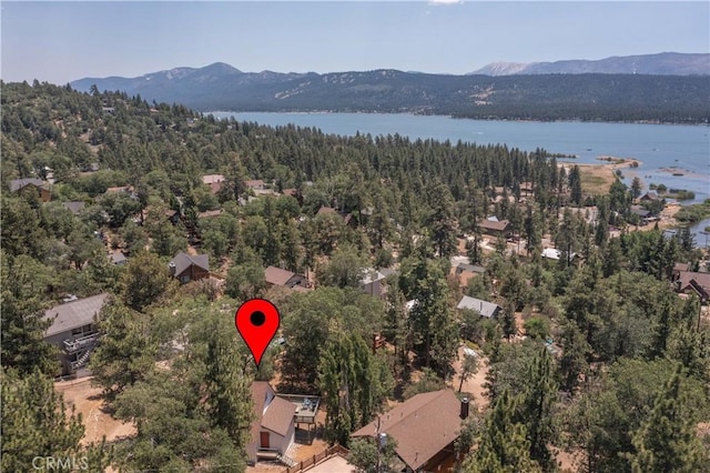 1118 Bruin Trl, Fawnskin, CA 92333 - photo 44
