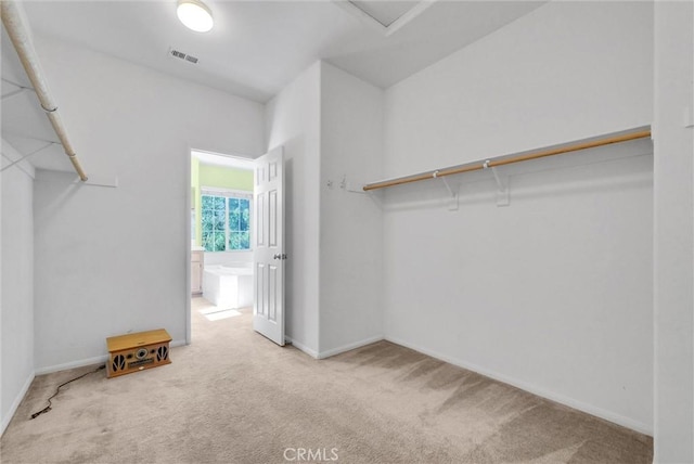 16461 Medinah St, Fontana, CA 92336 - walk in closet featuring carpet flooring