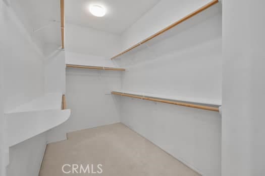 252 W Tulip Tree Ave, Orange, CA 92865 - view of walk in closet