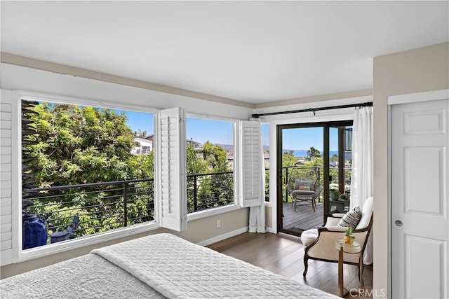 33942 Pequito Dr, Dana Point, CA 92629 - bedroom with access to outside and wood finished floors
