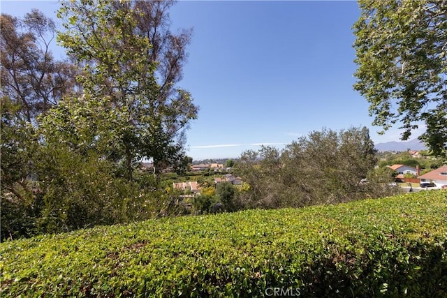 27021 Moro Azul, Mission Viejo, CA 92691 - view of yard