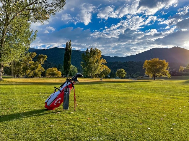 2229 Birchwood Way, Pine Mountain Club, CA 93222 - view of property's community featuring a mountain view and a yard