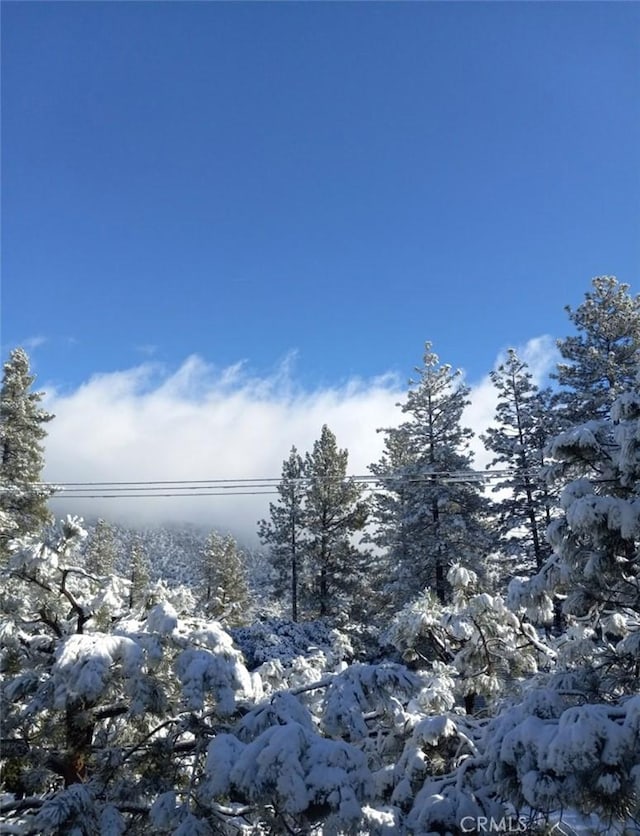 2229 Birchwood Way, Pine Mountain Club, CA 93222 - water view