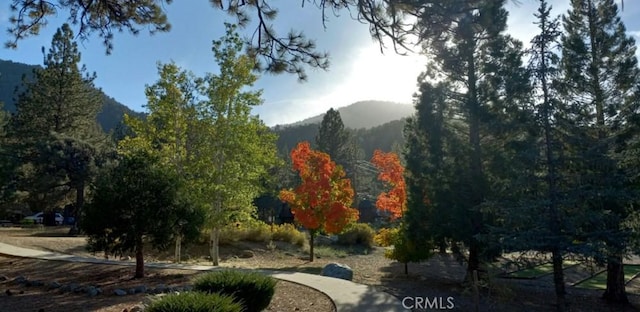 2229 Birchwood Way, Pine Mountain Club, CA 93222 - surrounding community with a mountain view and a forest view