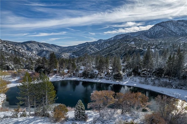 2229 Birchwood Way, Pine Mountain Club, CA 93222 - view of mountain backdrop featuring a nearby body of water