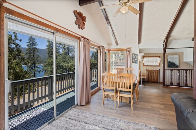 37744 Shoreline Dr, Bass Lake, CA 93604 - photo 18