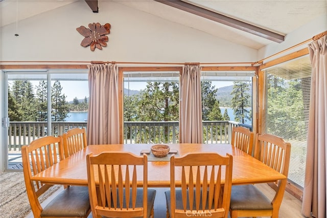 37744 Shoreline Dr, Bass Lake, CA 93604 - photo 20