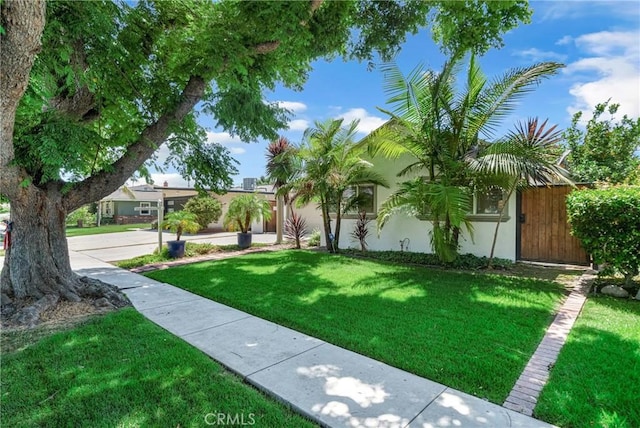 3531 Josie Ave, Long Beach, CA 90808 - view of green lawn
