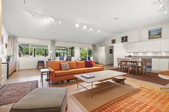 4530 Hendrickson Rd, Ojai, CA 93023 - living room with track lighting and vaulted ceiling