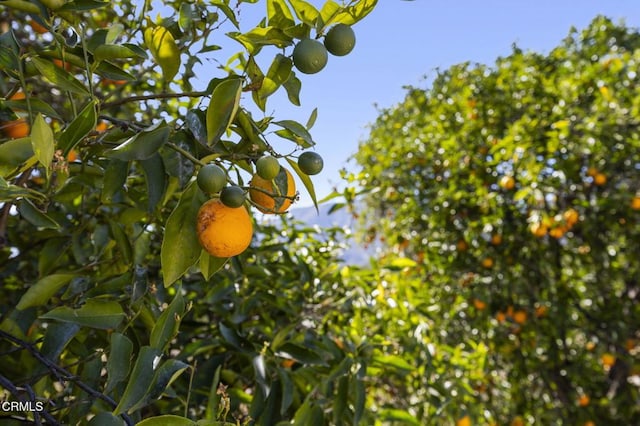 4530 Hendrickson Rd, Ojai, CA 93023 - exterior view