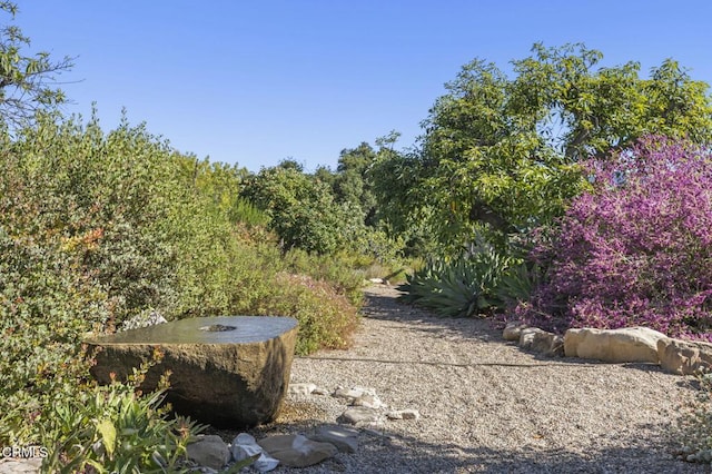 4530 Hendrickson Rd, Ojai, CA 93023 - view of yard