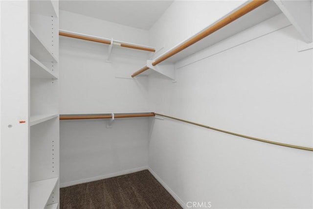 28403 Calex Dr, Valencia, CA 91354 - walk in closet featuring carpet flooring