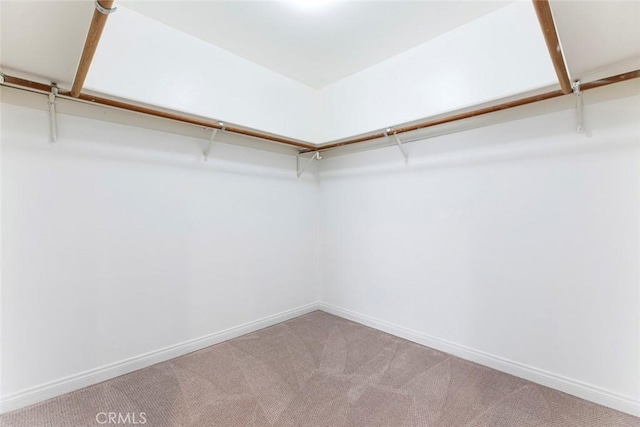 400 N 6th St Unit 202, Burbank, CA 91501 - walk in closet with carpet
