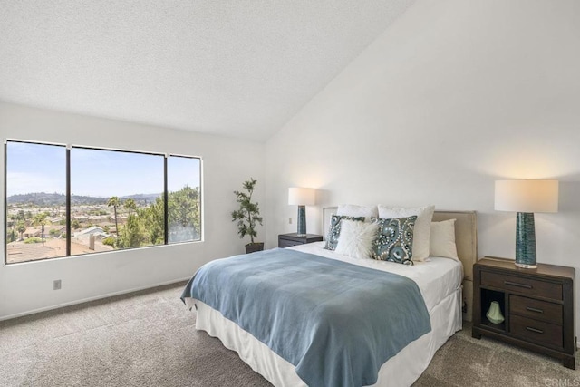 1471 Mercado, Escondido, CA 92026 - bedroom with carpet, lofted ceiling, and a textured ceiling
