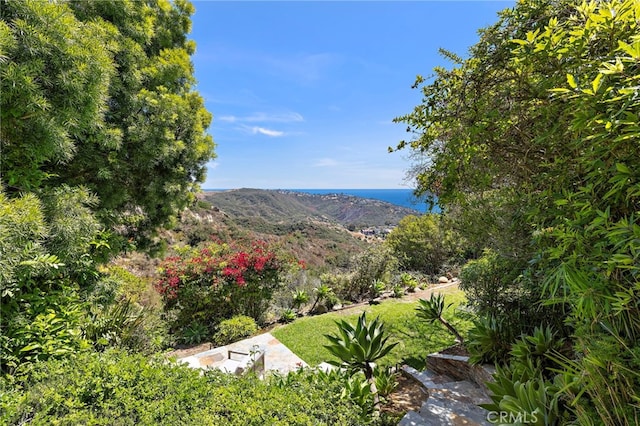 2575 Temple Hills Dr, Laguna Beach, CA 92651 - view of mountain background