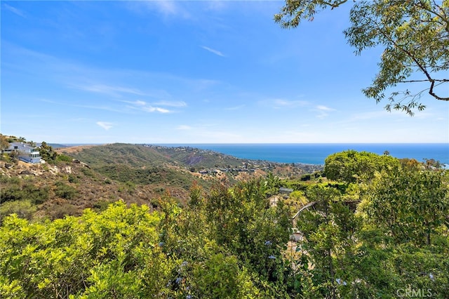 2575 Temple Hills Dr, Laguna Beach, CA 92651 - view of mountain backdrop with a large body of water