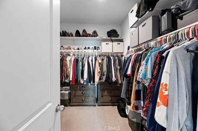 7346 Garnet Ridge Rd, Jurupa Valley, CA 92509 - spacious closet featuring carpet