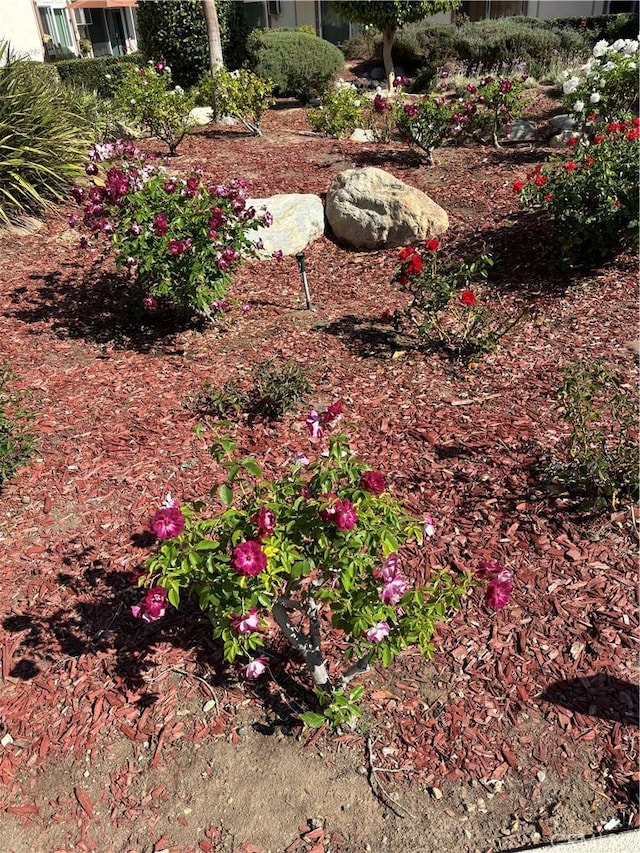 5585 E Pacific Coast Hwy Unit 154, Long Beach, CA 90804 - view of yard