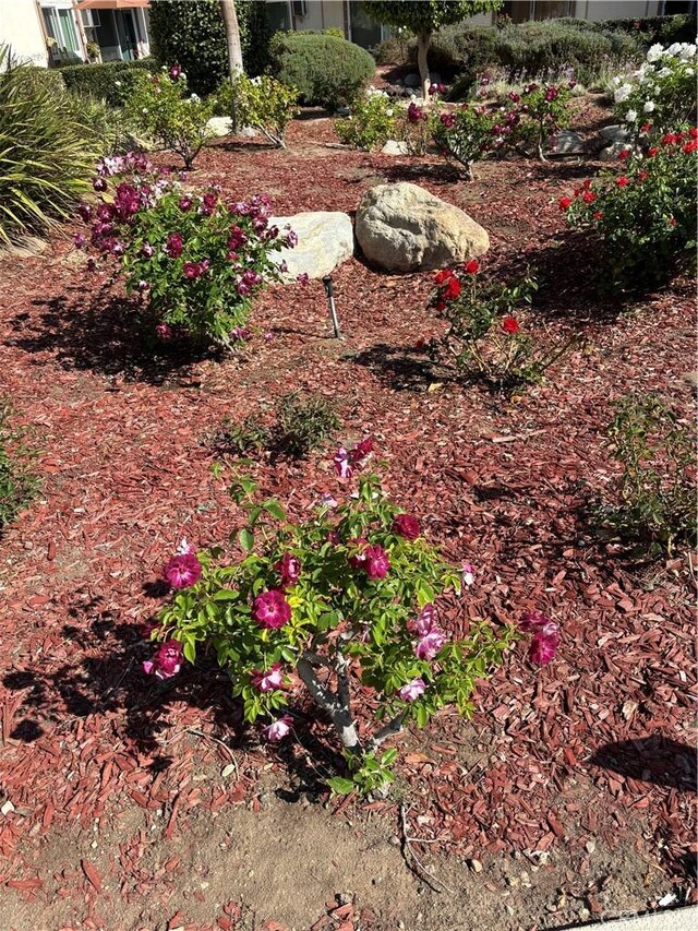 5585 E Pacific Coast Hwy Unit 154, Long Beach, CA 90804 - photo 25