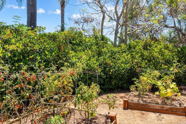 1740 Fire Mountain Dr, Oceanside, CA 92054 - view of yard with a garden