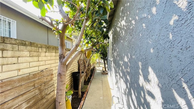 3329 Del Amo Blvd, Lakewood, CA 90712 - photo 38