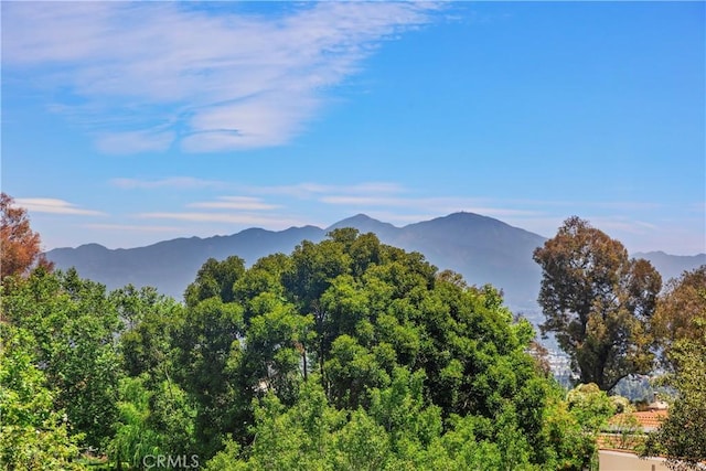 4025 Calle Sonora Este Unit 2C, Laguna Woods, CA 92637 - view of mountain background