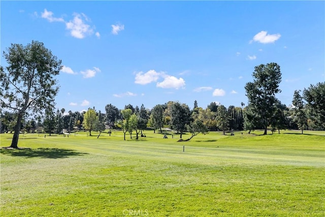 4025 Calle Sonora Este Unit 2C, Laguna Woods, CA 92637 - view of community with view of wooded area and a yard