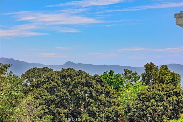 4025 Calle Sonora Este Unit 2C, Laguna Woods, CA 92637 - mountain view with a forest