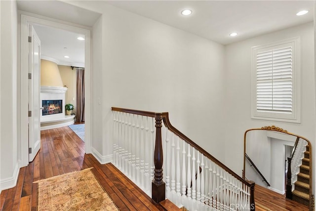 15 Pisano St, Ladera Ranch, CA 92694 - photo 21
