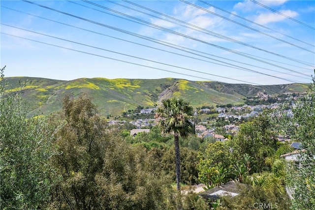 15 Pisano St, Ladera Ranch, CA 92694 - photo 51