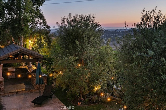 15 Pisano St, Ladera Ranch, CA 92694 - photo 53