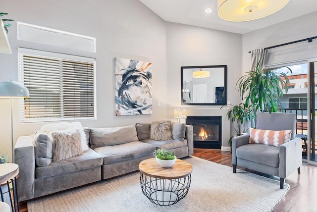 4658 Ohio St, San Diego, CA 92116 - living room with wood finished floors and a glass covered fireplace