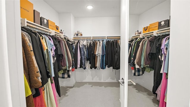 220 Perennial Pl, Fallbrook, CA 92028 - spacious closet with carpet flooring