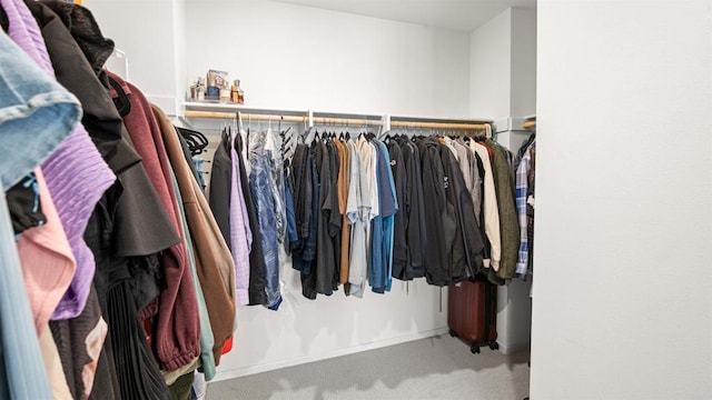 220 Perennial Pl, Fallbrook, CA 92028 - walk in closet featuring carpet flooring