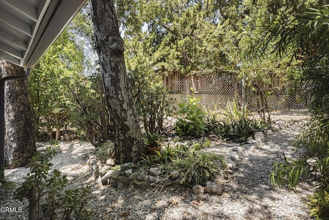 3254 Los Olivos Ln, La Crescenta, CA 91214 - view of yard