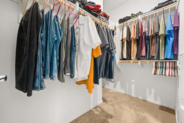 2310 Stardust Gln, Escondido, CA 92025 - walk in closet featuring carpet floors