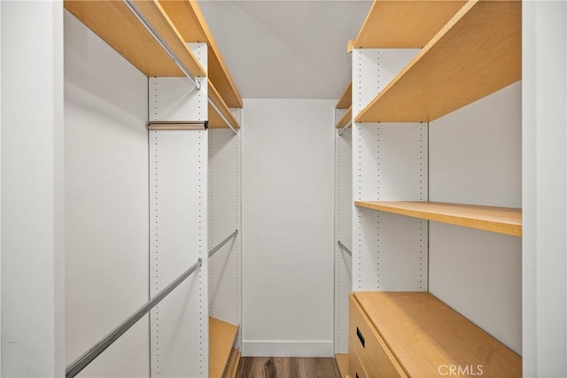 705 E Palm Ave, Orange, CA 92866 - walk in closet featuring wood finished floors