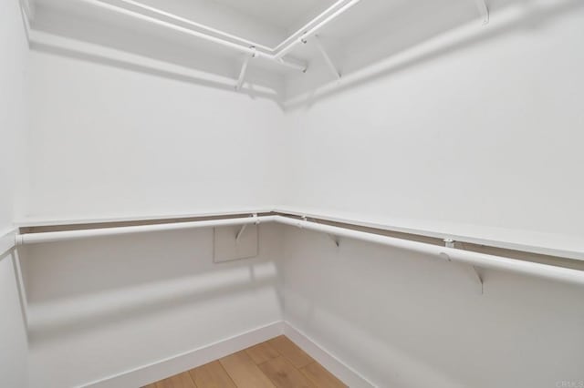 1358 Walnutview Dr, Encinitas, CA 92024 - spacious closet featuring light wood-style flooring