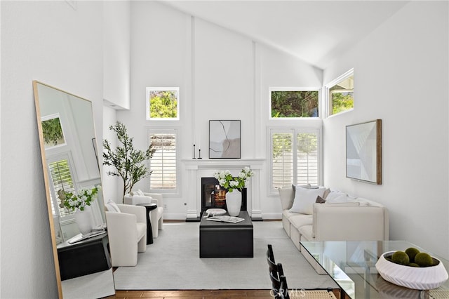 18 Saint Thomas, Laguna Niguel, CA 92677 - living area with high vaulted ceiling, a glass covered fireplace, and wood finished floors