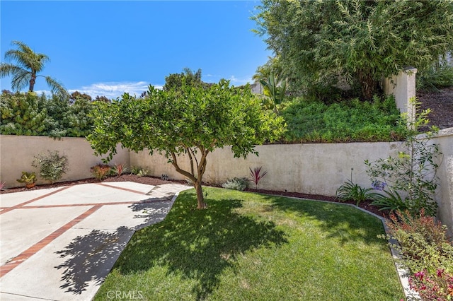 18 Saint Thomas, Laguna Niguel, CA 92677 - fenced backyard with a patio area