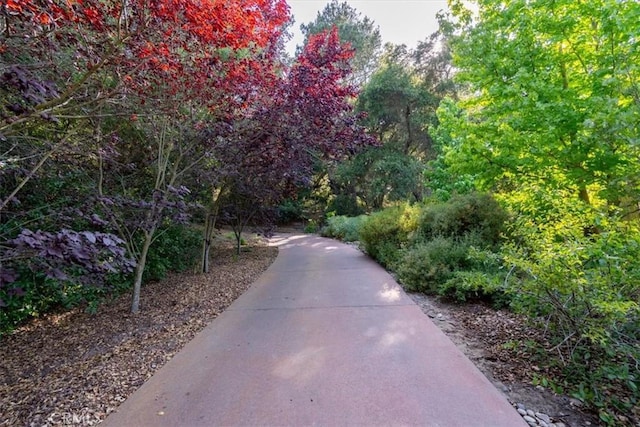 2310 Oak Haven Ln, Arroyo Grande, CA 93420 - view of community