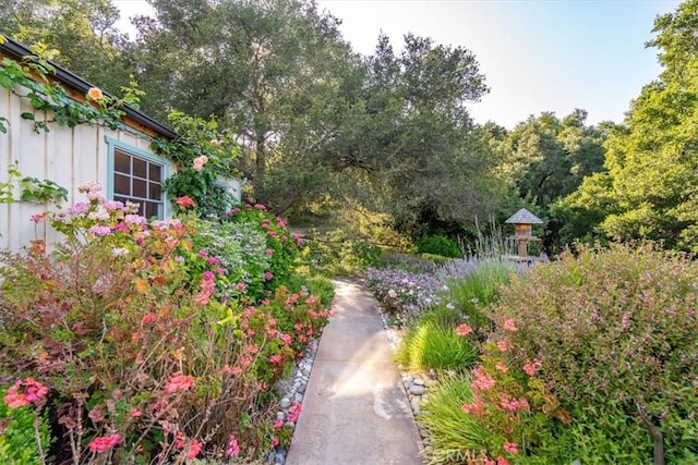 2310 Oak Haven Ln, Arroyo Grande, CA 93420 - view of yard