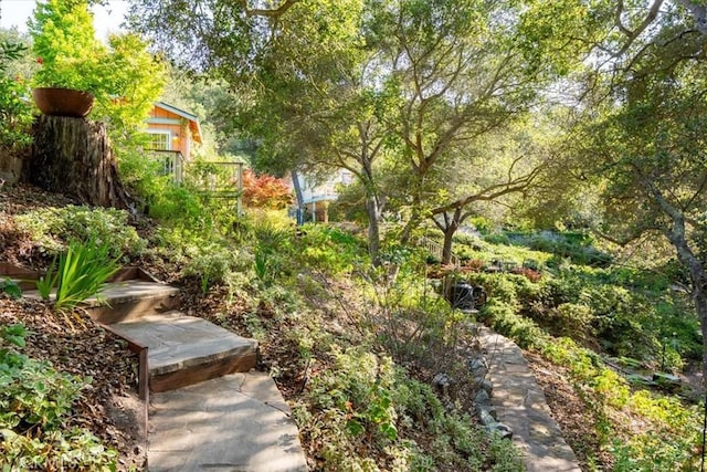 2310 Oak Haven Ln, Arroyo Grande, CA 93420 - view of yard